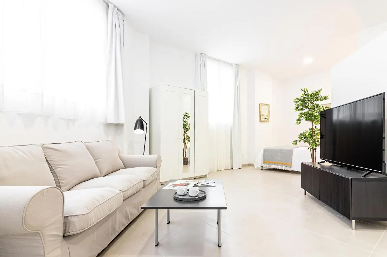 Malaga Center Flat. City Center Train Station Spain