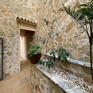 Gallu , Cala Ratjada (Mallorca) Hiszpania